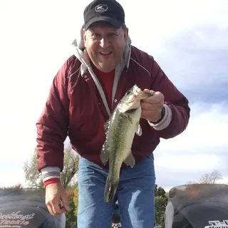 Bill P.
