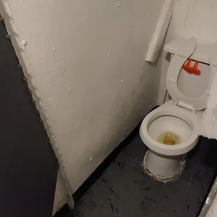 Men&apos;s Room Toilet