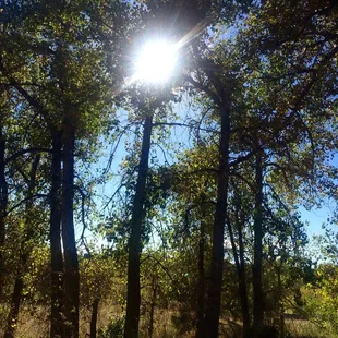 Nature! So beautiful!