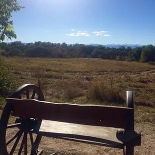 Need to rest? Lots of benches :)