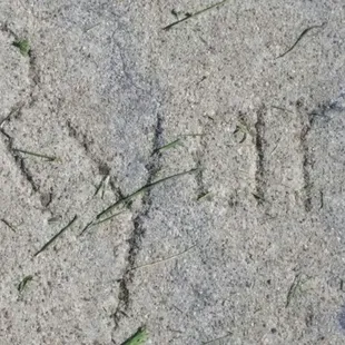 Found our favorite name