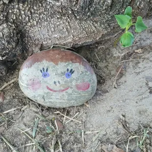 Found a rock!