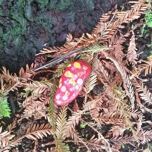 Spreading LQT awareness  #rocksforryan