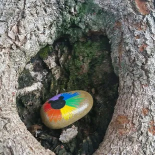 Lots of smiles :) #rocksforryan