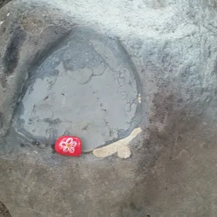 Find us  #rocksforryan