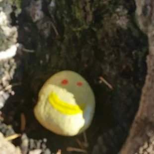 Lots of smiles :) #rocksforryan