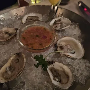 Oysters $20