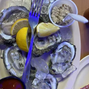 Oysters on half shell (6) - small