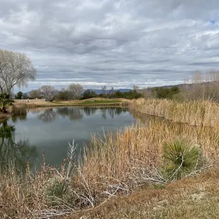 Del Lago Golf Club