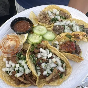 Tacos with fresh handmade tortillas