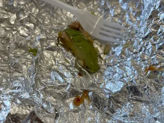 El Taco Loco