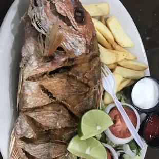 A delicious Red Snapper and photo if I don't say so myself!
