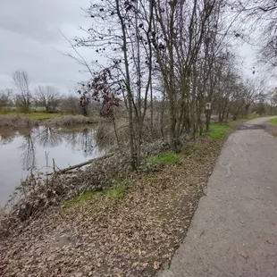 Walking trail