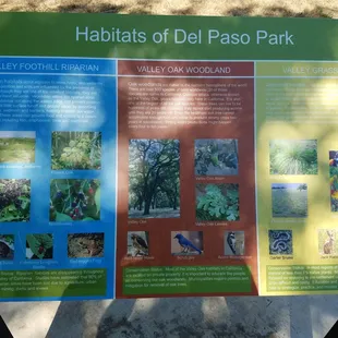 Infographic of local flora.