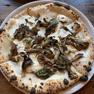 Cornmeal Fried Maitake Mushrooms
