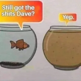 Dave S.