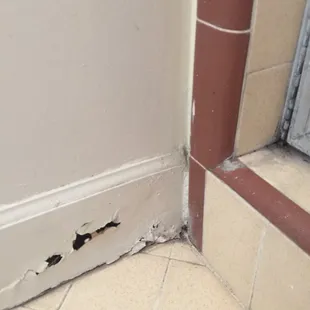 Dry rot.