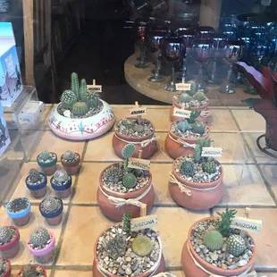 Window display