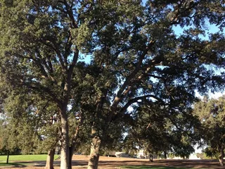 James A. Hall Park