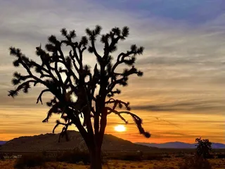 Saddleback Butte State Park