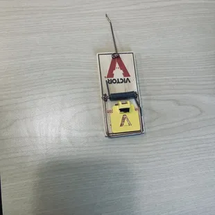 A mouse trap