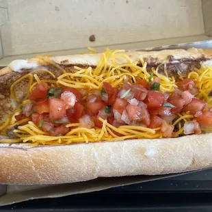 Carne Asada &amp; Queso Torta. Where's the Beef?