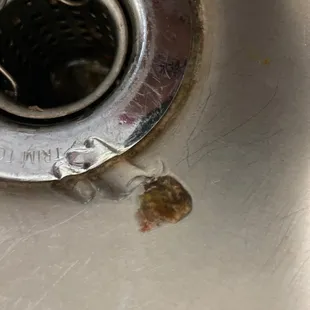 oysters and mussels, food