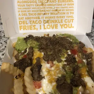 Carne Asada fries