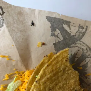 a taco with cheese and lettuce