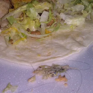 Hairball in the chicken soft taco!!!! Disgusting!!!!! Never again!!! DO NOT EAT HERE!!