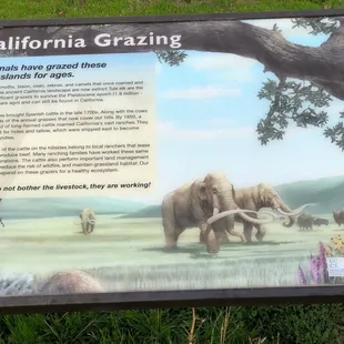 Historical information