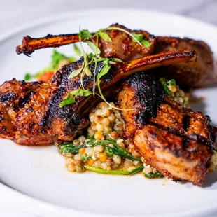 Harissa Lamb Chops