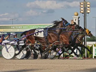 Harrah's Hoosier Park Casino Racetrack
