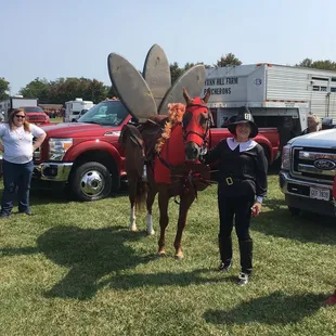 Horse parade participants   Turkey, really?