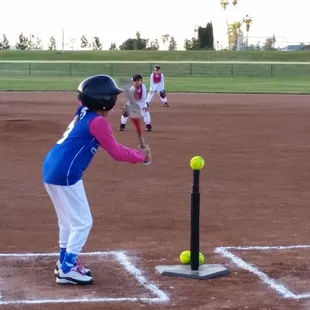 Baseball fields for big guys and little girls