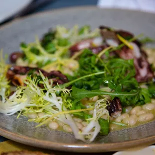 Grilled Calamari