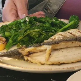 Branzino (fish)
