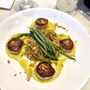 Scallops