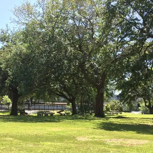 Beautiful day at Delgado!