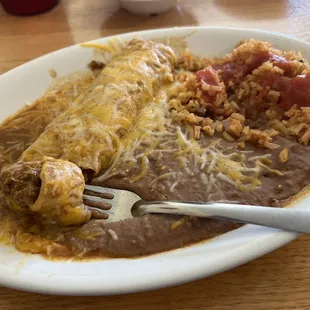Shredded Beef Enchilada