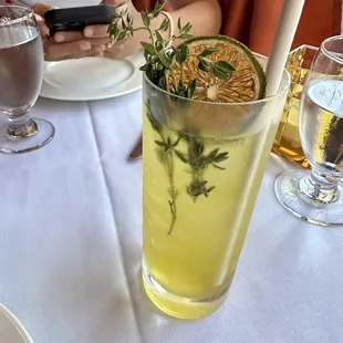 Gin and Tonic