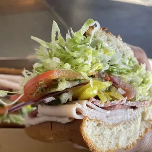 Medium salami, turkey, sprouts, the "Works" in Dutch bread