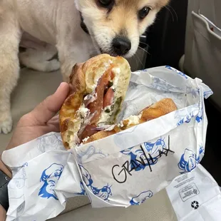 Jalapeno Muenster Bialy
