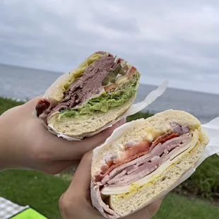 Pastrami Melt Sandwich with sprouts, banana peppers, and jalapeños (left) and Italian Torpedo with banana peppers (right)