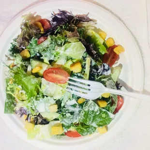 a plate of salad with a fork