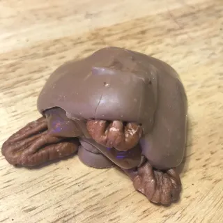 Chocolate Pecan Turtle