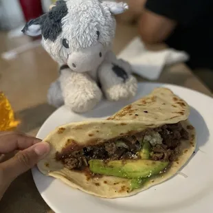 Delicias centroamericanas