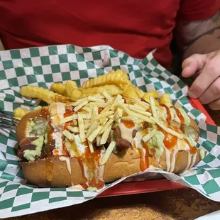 a hot dog and french fries