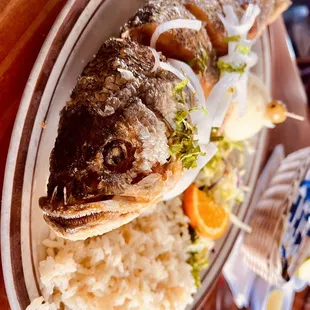 Black bass