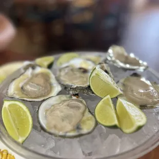 Oysters